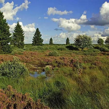 Stylish With Pool, * Жале