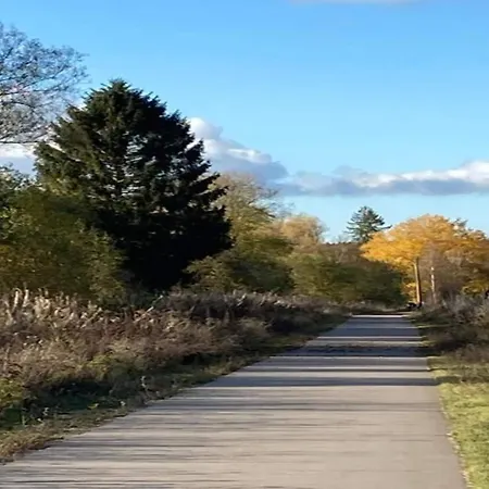 Stylish With Pool, Жале